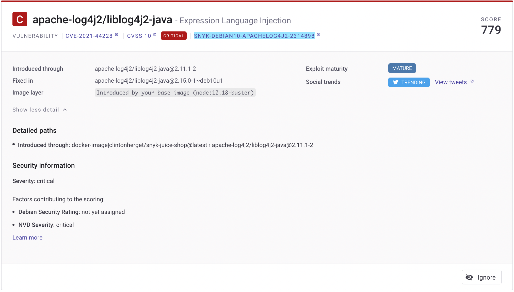 Details for the apache log4j vulnerability